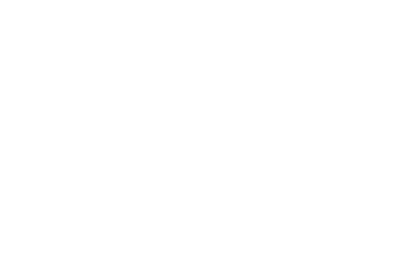 Adobe Bronze Solution Partner