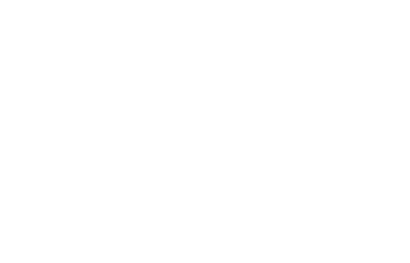 amazon q
